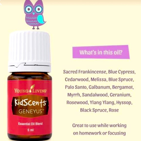 ❤️Snowy the Owl Feather the Owl children's diffuser. - Picture 3 of 8